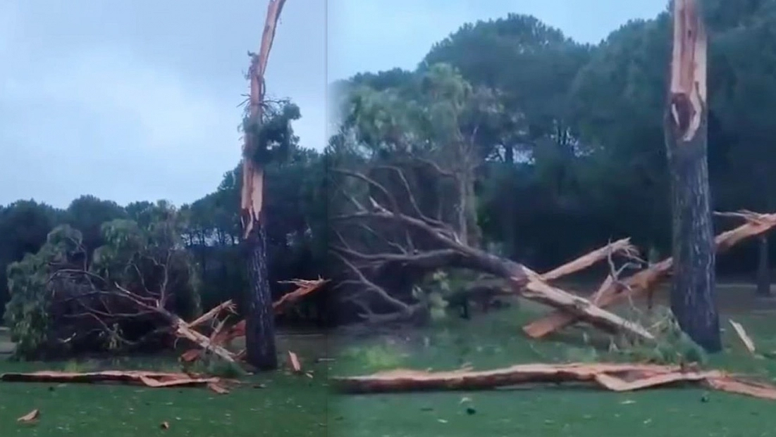 Golf sahasına düşen yıldırım ağacı parçalara ayırdı