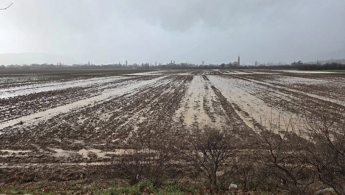 Menteşe'de tarım arazileri için ekipler sahaya indi