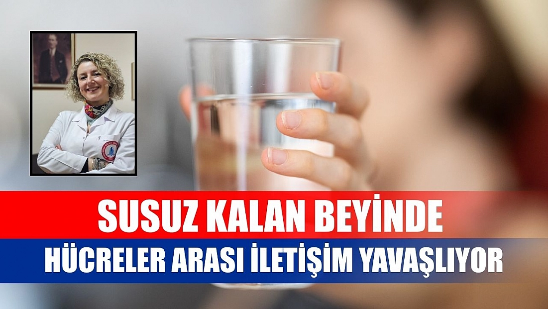 Susuz kalan beyinde hücreler arası iletişim yavaşlıyor