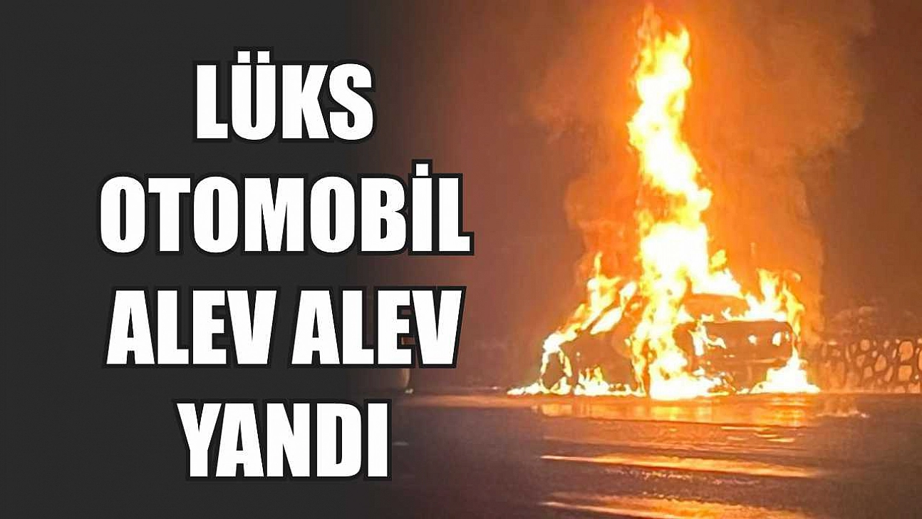 Lüks otomobil alev alev yandı