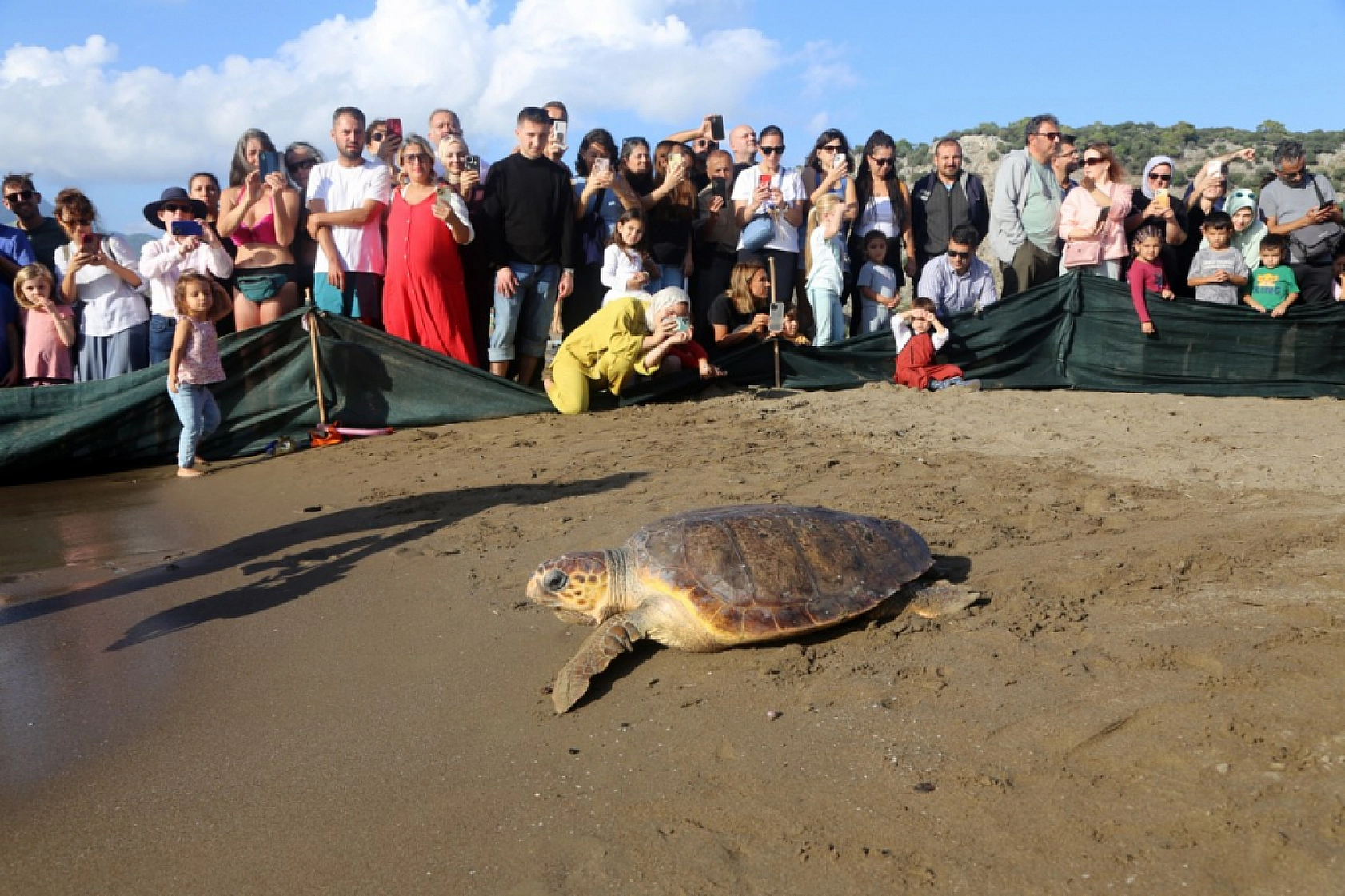 Muğla'da tedavileri tamamlanan deniz kaplumbağaları denizle buluştu