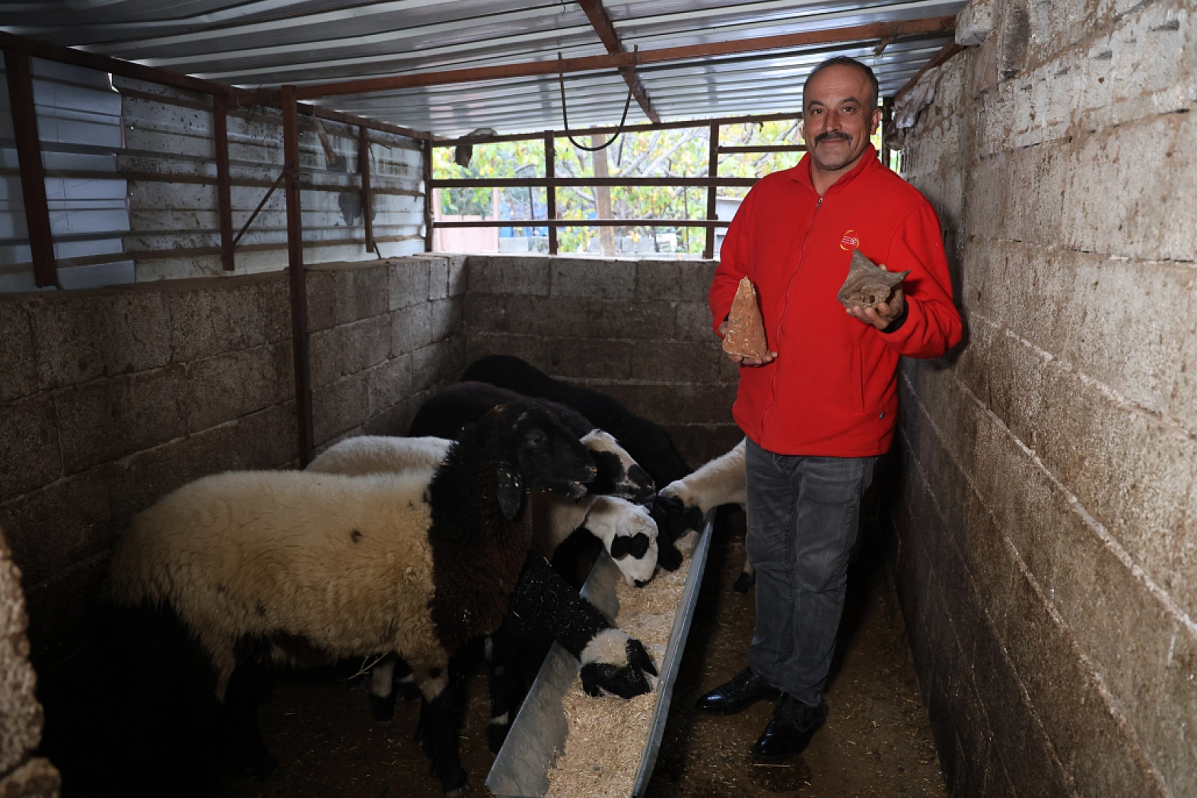 Çobanın doğanın içinden gelen koleksiyonu: Dağlardan toplayıp evinde sergiliyor