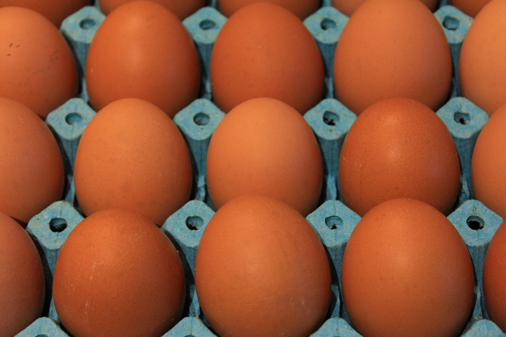 Yumurta üretimi 6 ayda 330 milyon adet azaldı