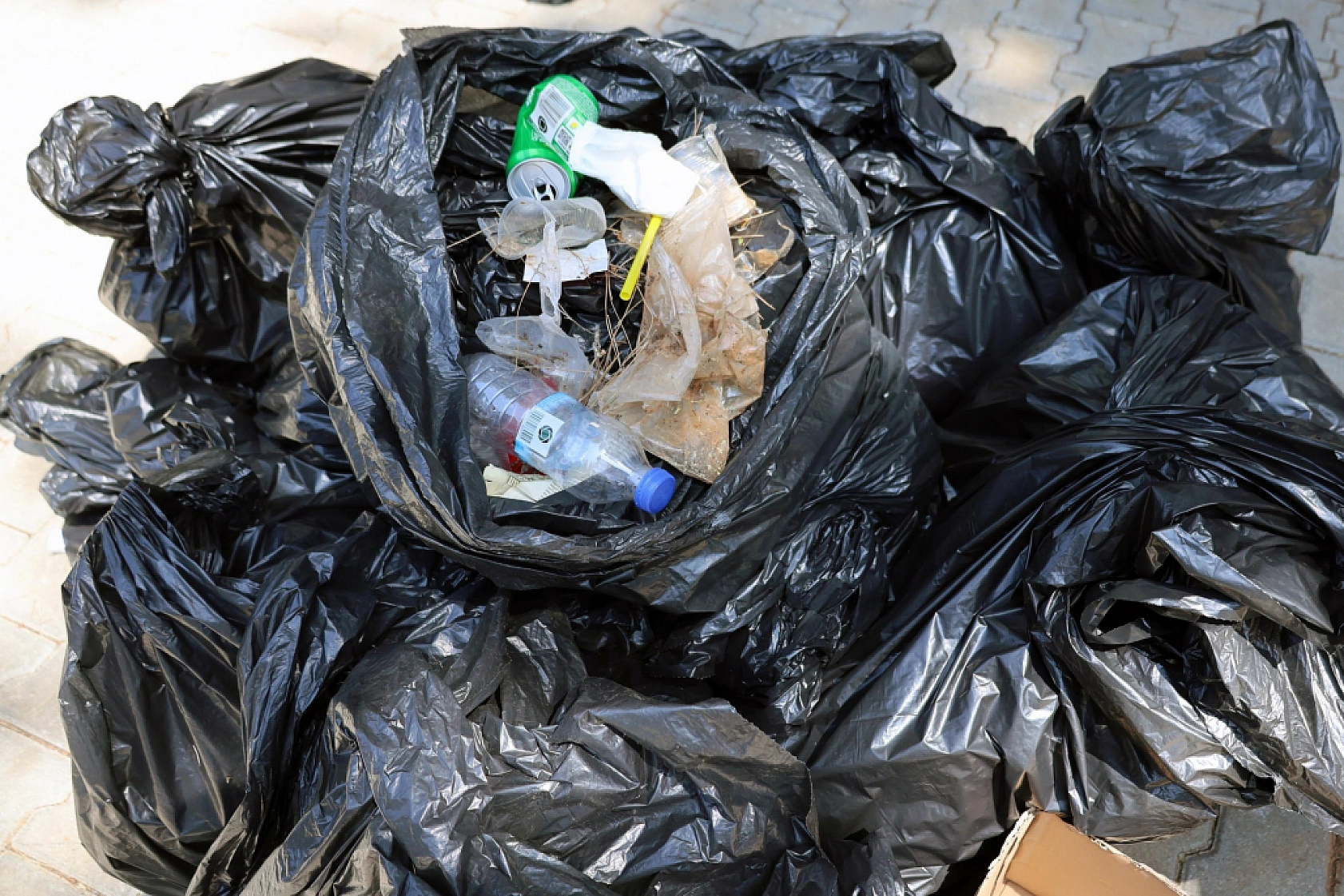 Menteşe Belediyesi'nden anlamlı etkinlik