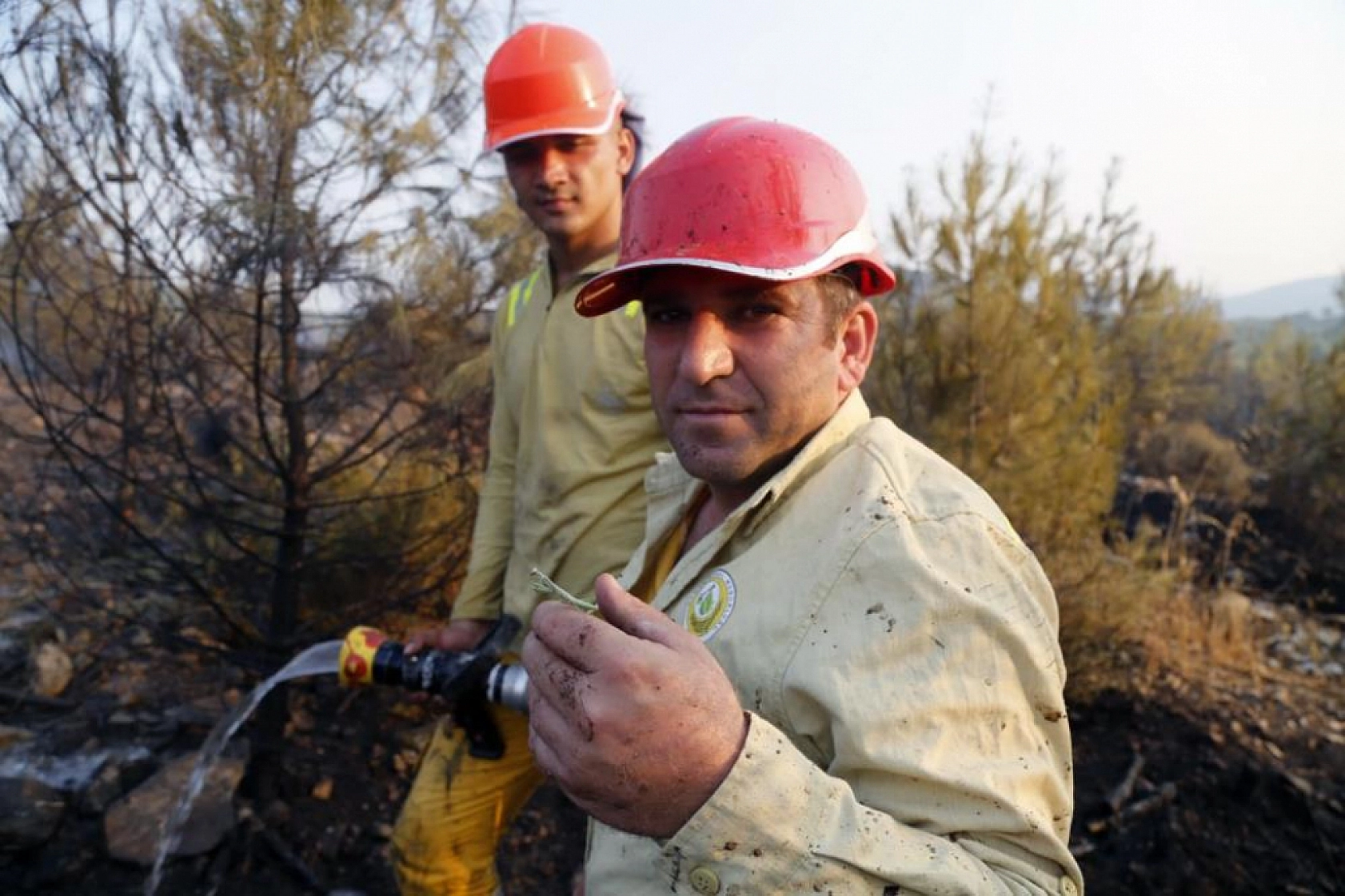 Yatağan'da Yangından Kaçan Çekirge ve Peygamber Devesi İşçinin Sırtına Sığındı