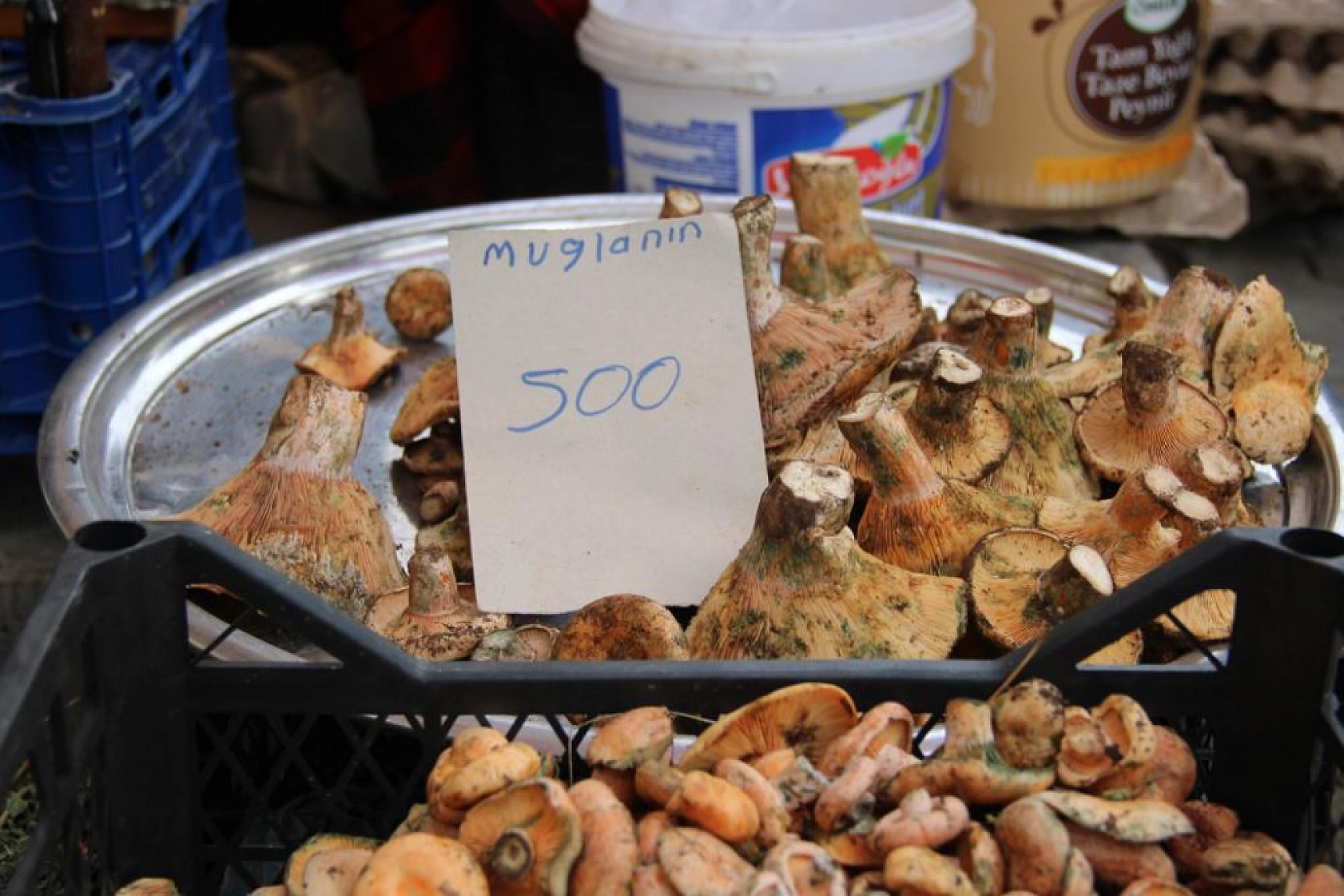 Çıntar pazar tezgahlarında yerini aldı