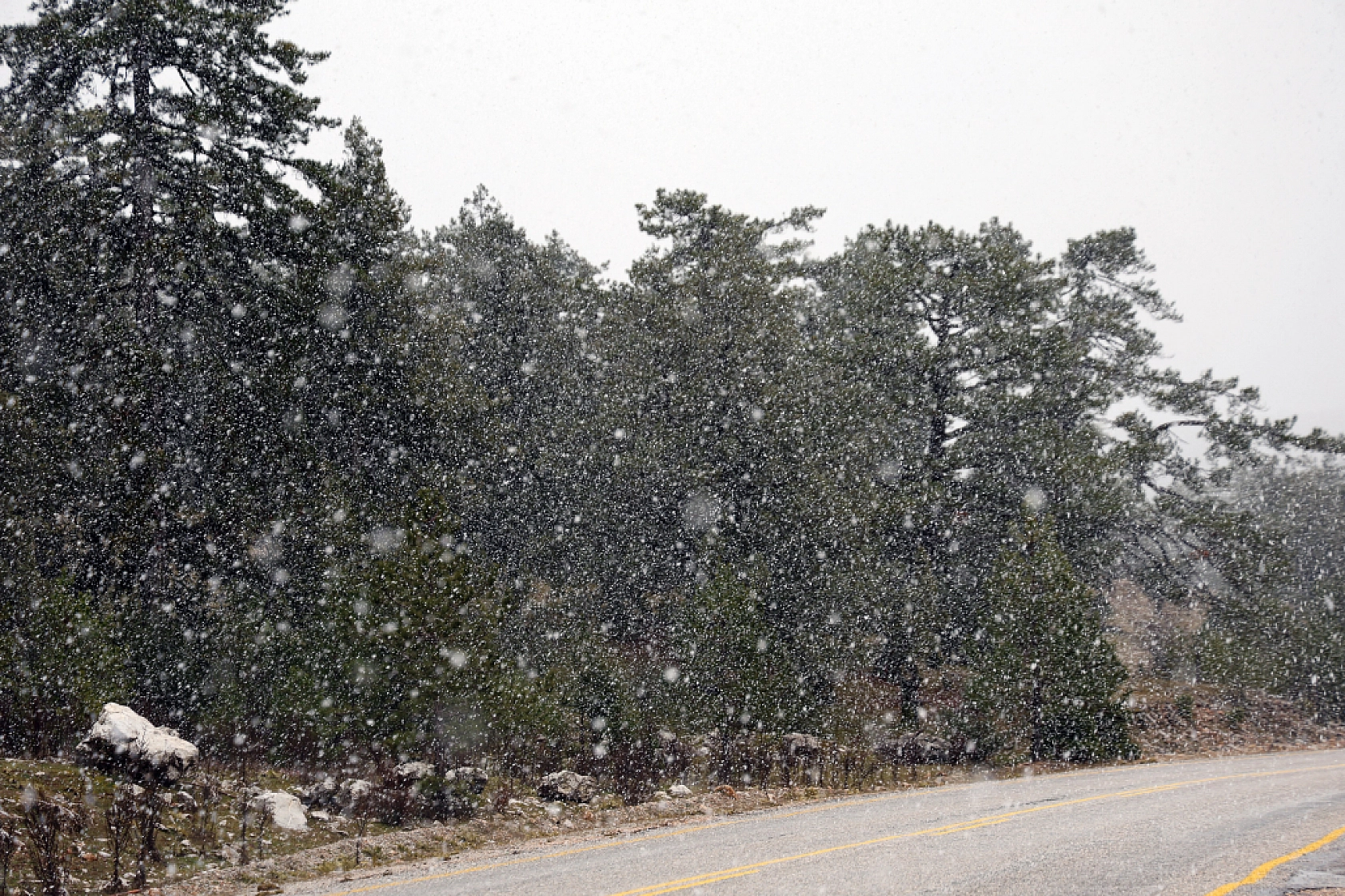 Muğla'nın yüksek kesimlerinde kar yağışı etkili olmaya başladı