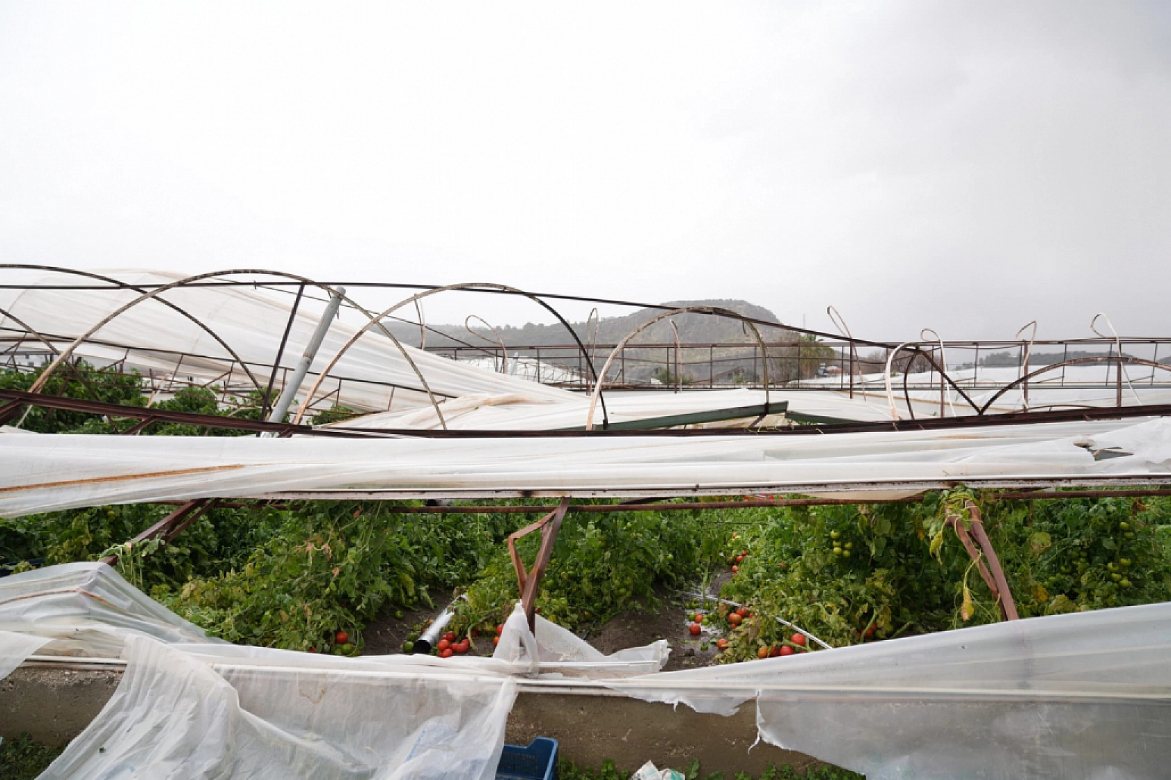 Seydikemer'de fırtınadan zarar gören üreticileri ziyaret ettiler