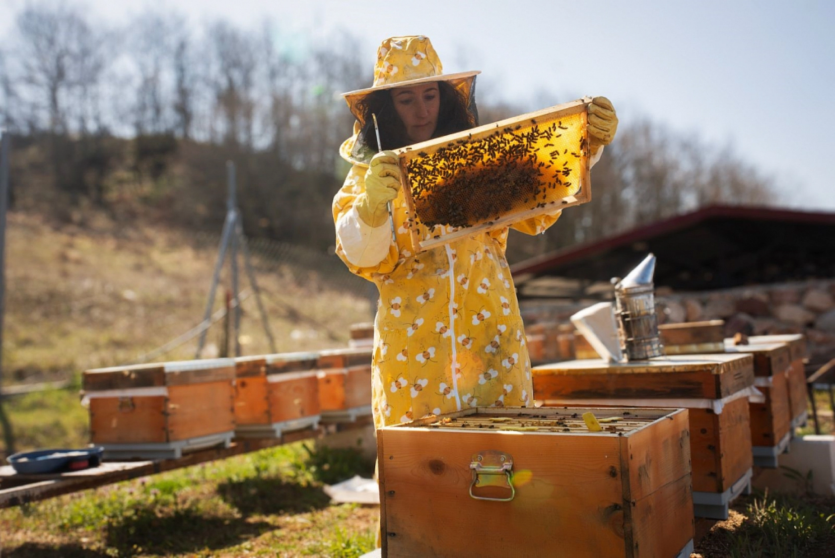 İznik'ten Londra'ya bal gibi başarı