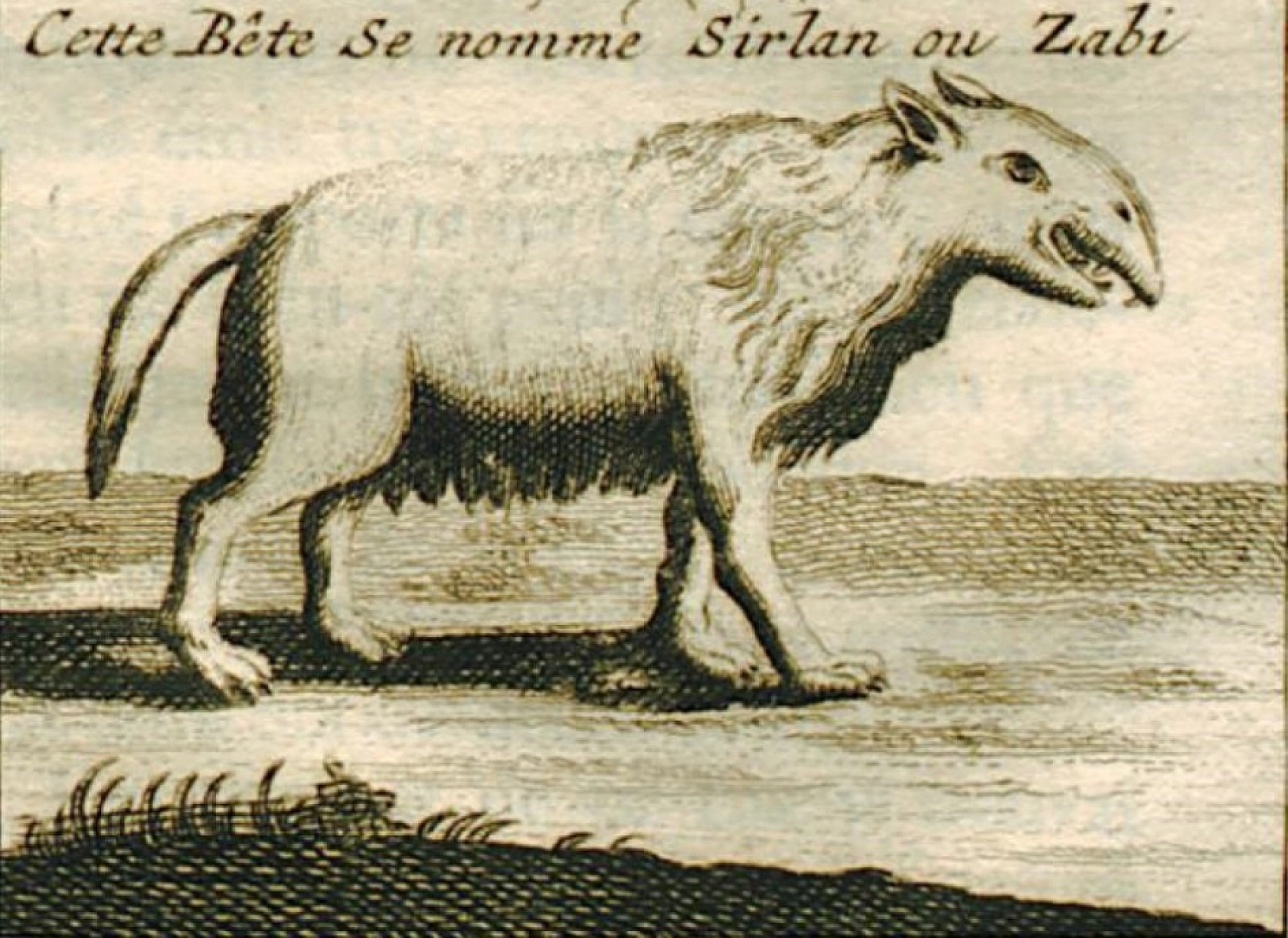 Türkiye'nin ilk turistik mağarası İnsuyu, kuruyan sularıyla fosil haline geldi