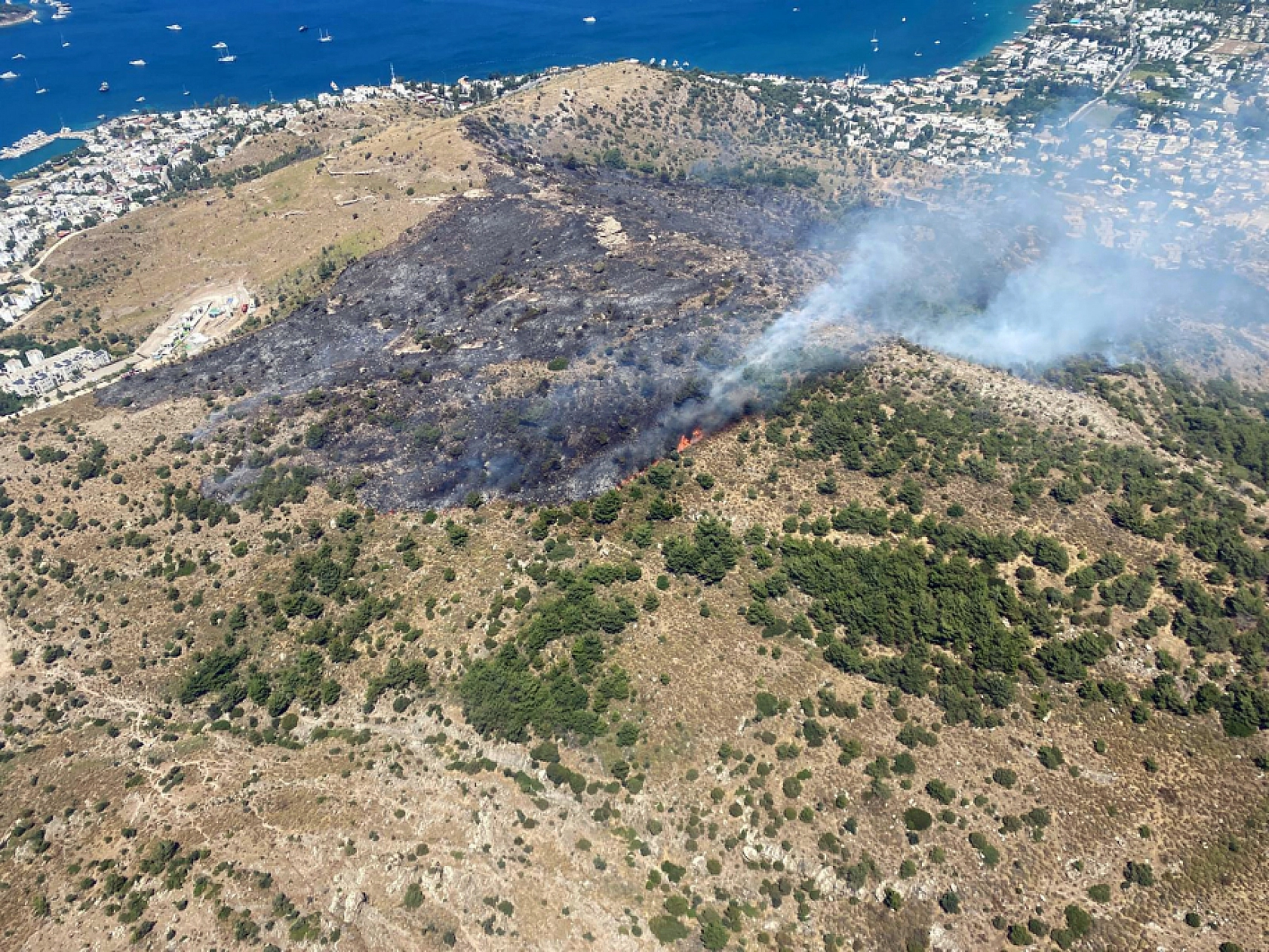 Bodrum Türkbükü yangını ile ilgili bir gözaltı