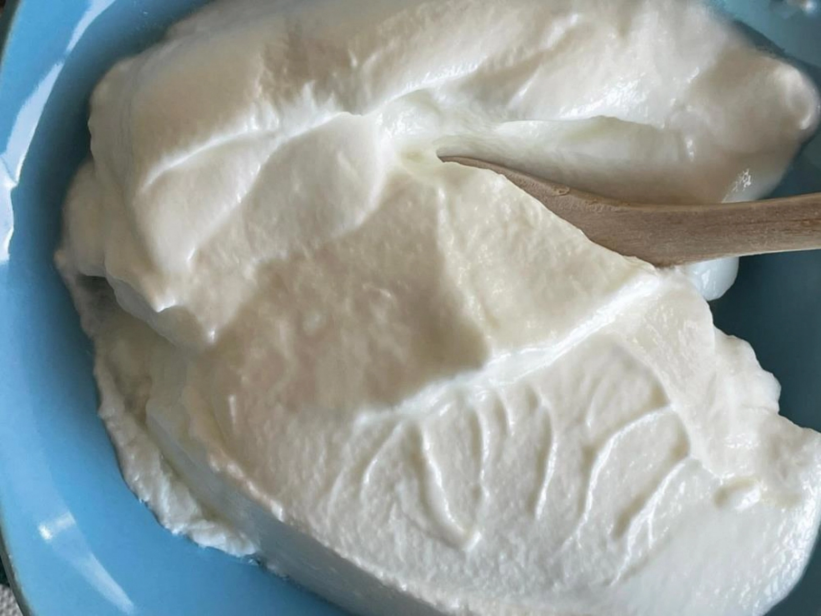 Prof. Dr. Hüdayi Ercoşkun: 'Yoğurt Türk'tür Türk kalacak'