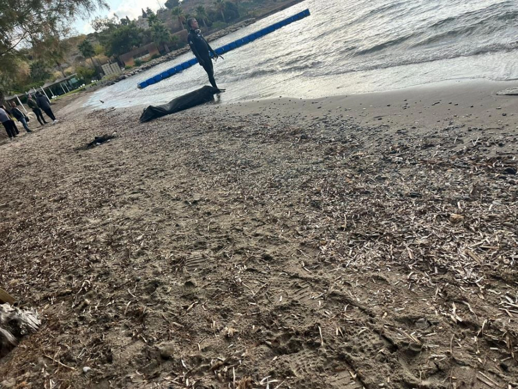 Bodrum'da Yüzerek karaya çıkan 2 düzensiz göçmen kurtarıldı