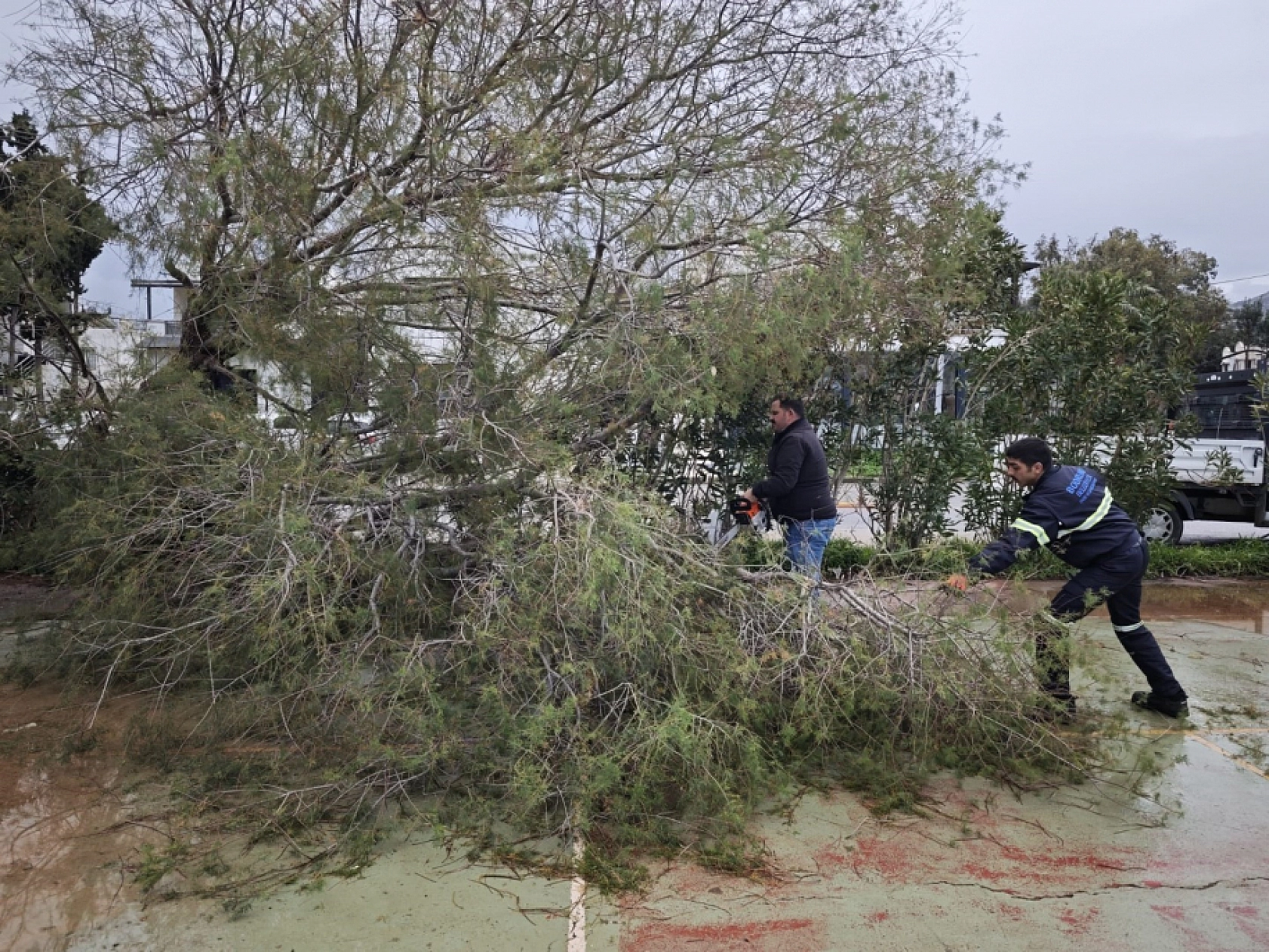 Bodrum Belediyesi ekiplerinden fırtına ve yağış mesaisi