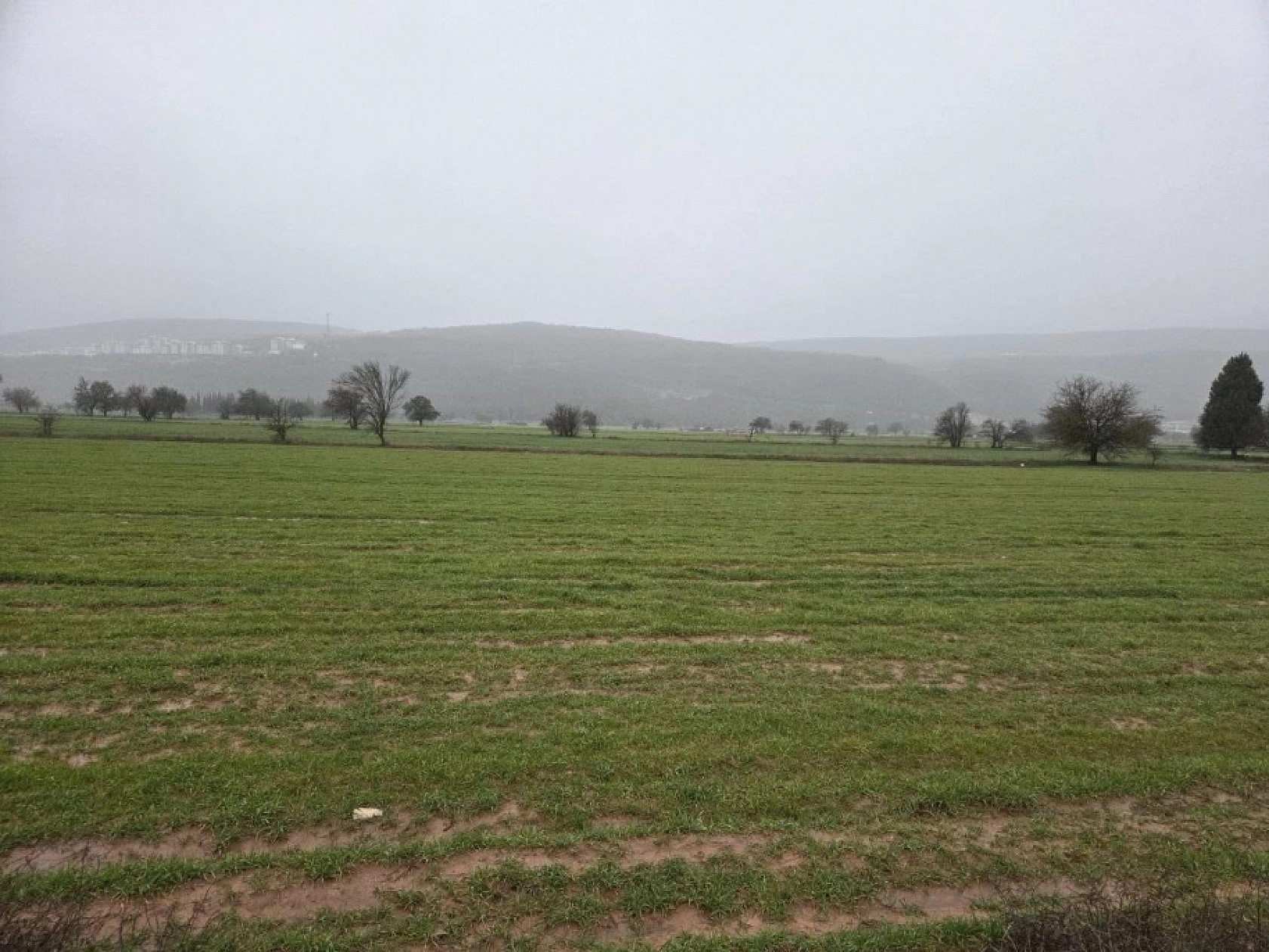 Menteşe'de tarım arazileri için ekipler sahaya indi