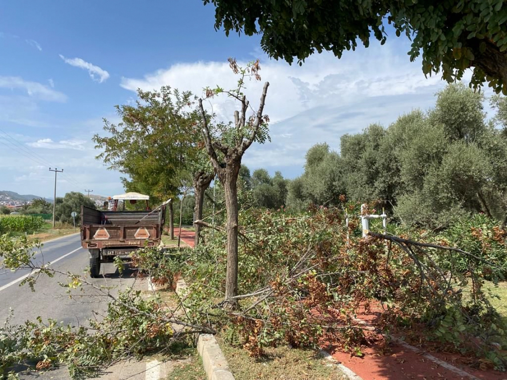 Mevsimsel Bakım Çalışmaları Devam Ediyor