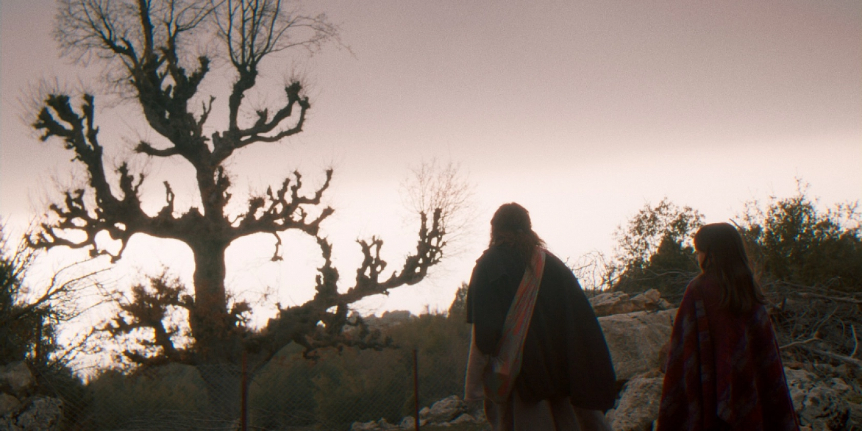 Fethiye'de çekilen 'Balinanın Bilgisi' 6 Şubat'ta vizyona giriyor