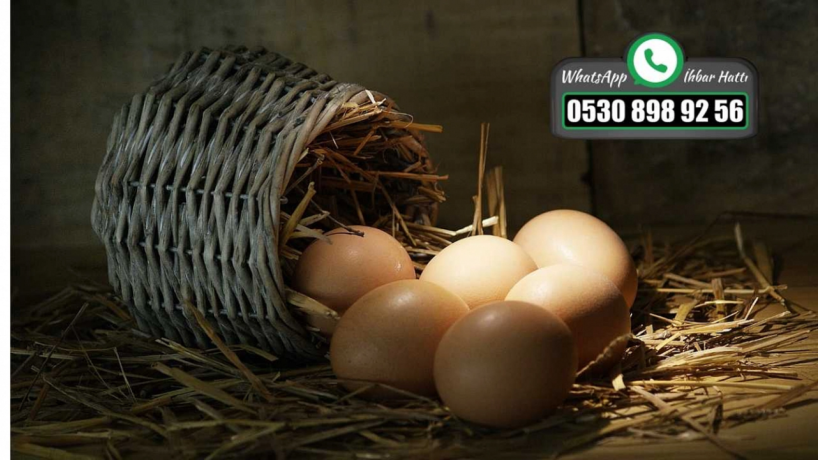 Yumurta israfının önlenmesine yönelik düzenleme yapıldı