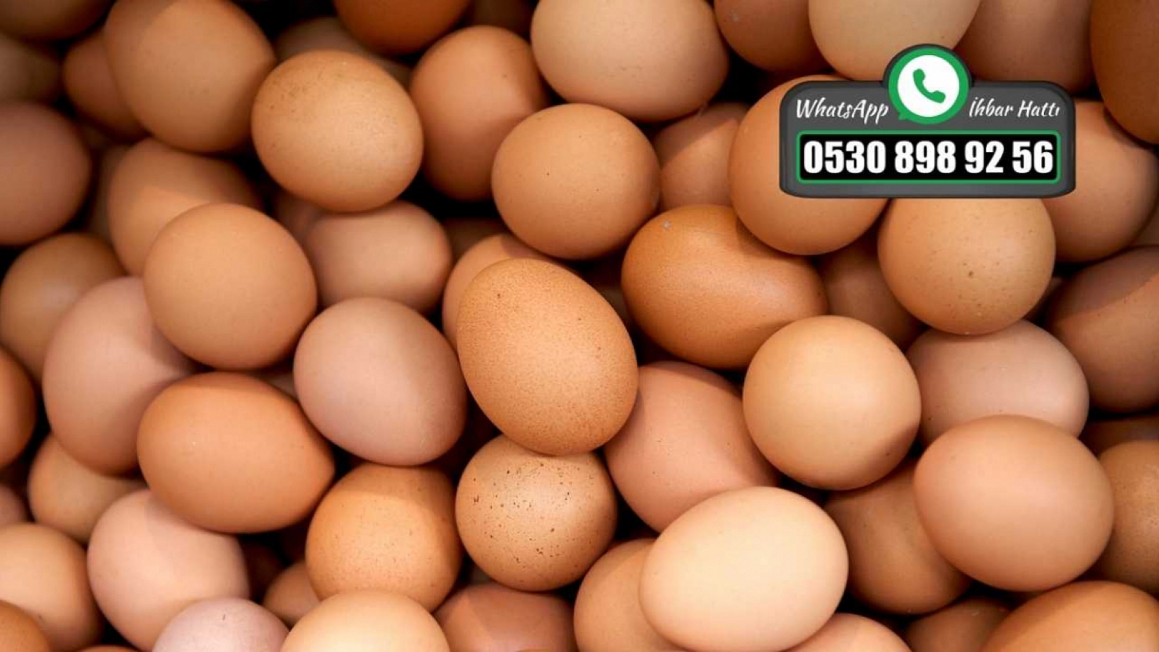 Yumurta israfının önlenmesine yönelik düzenleme yapıldı