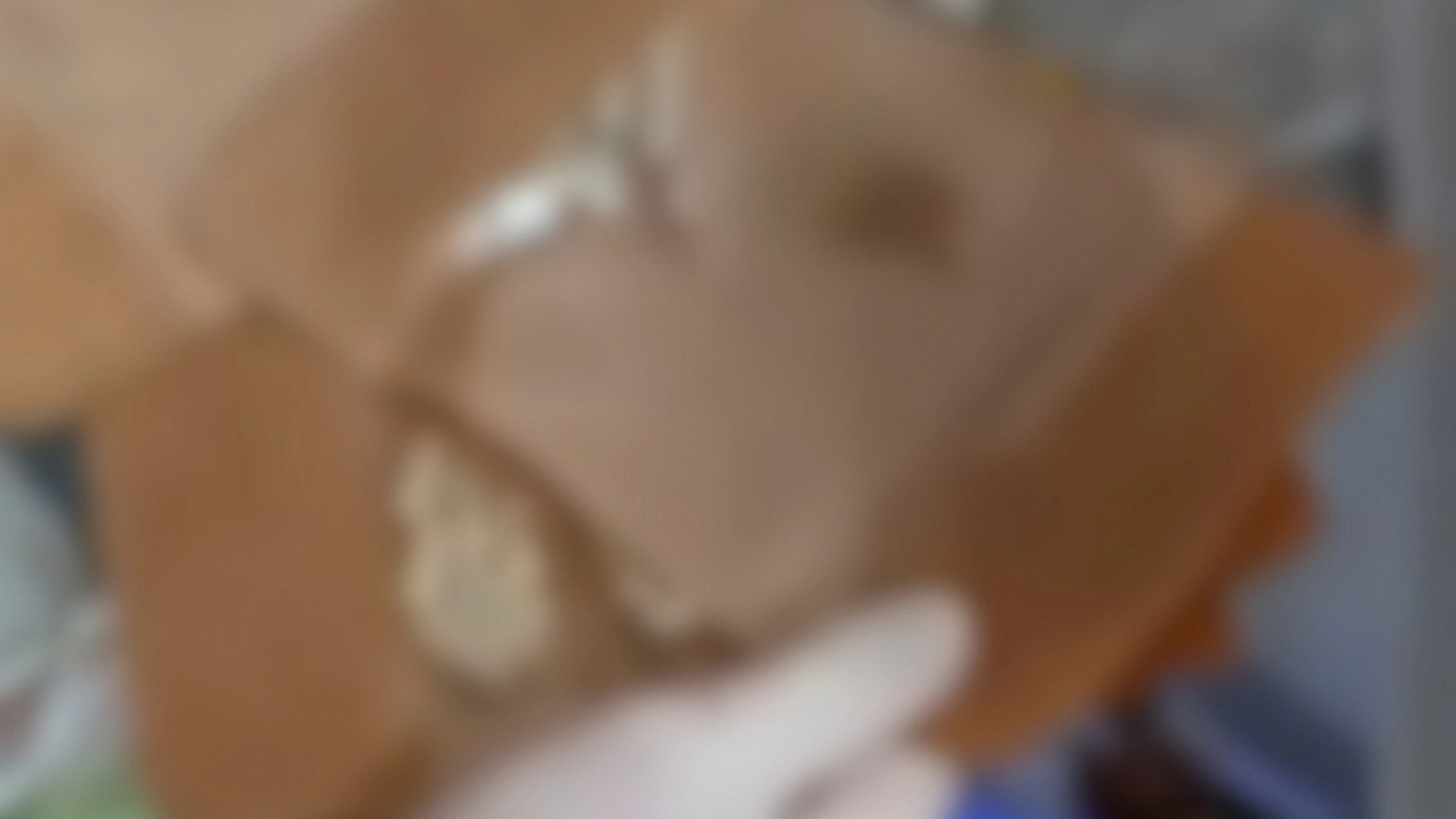 Jandarmadan operasyon: 110 milyon TL değerinde uyuşturucu ele geçirildi