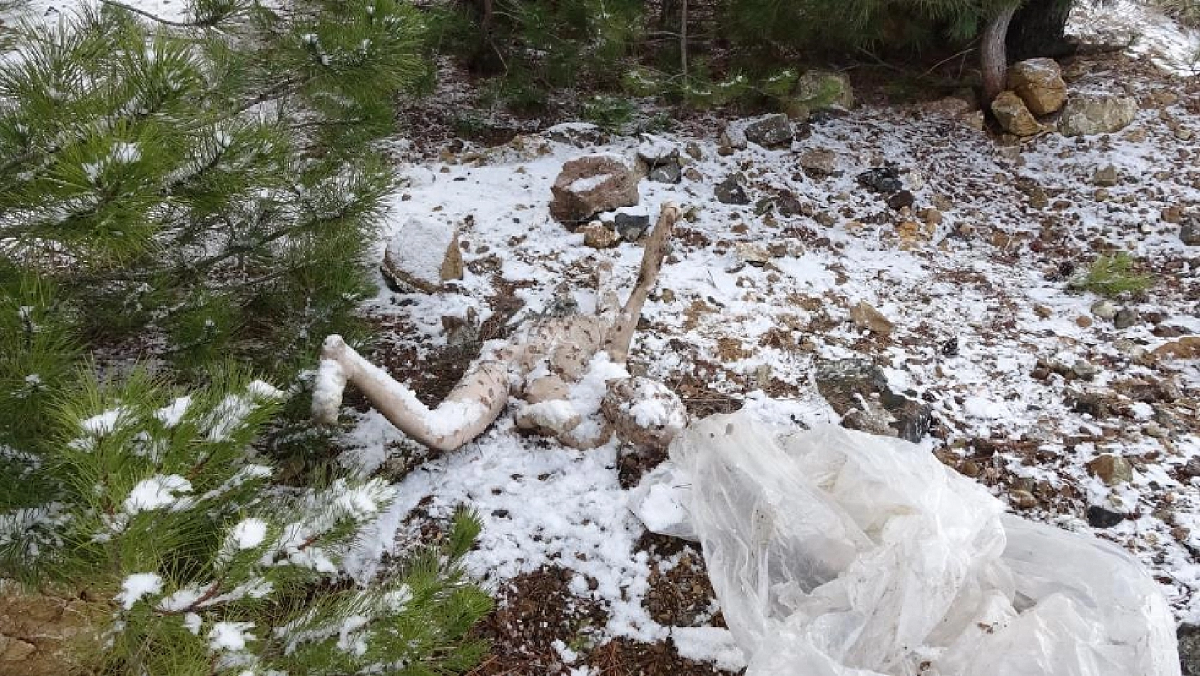 Ceset ihbarıyla olay yerine giden ekipler farklı bir manzarayla karşılaştı
