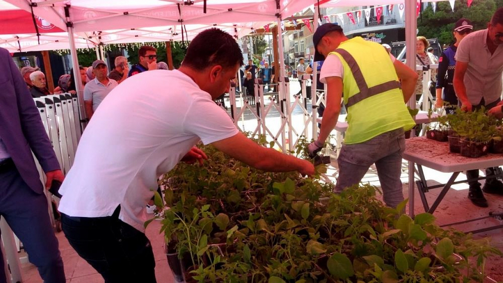 Menteşe Belediyesi 60 bin fide dağıttı