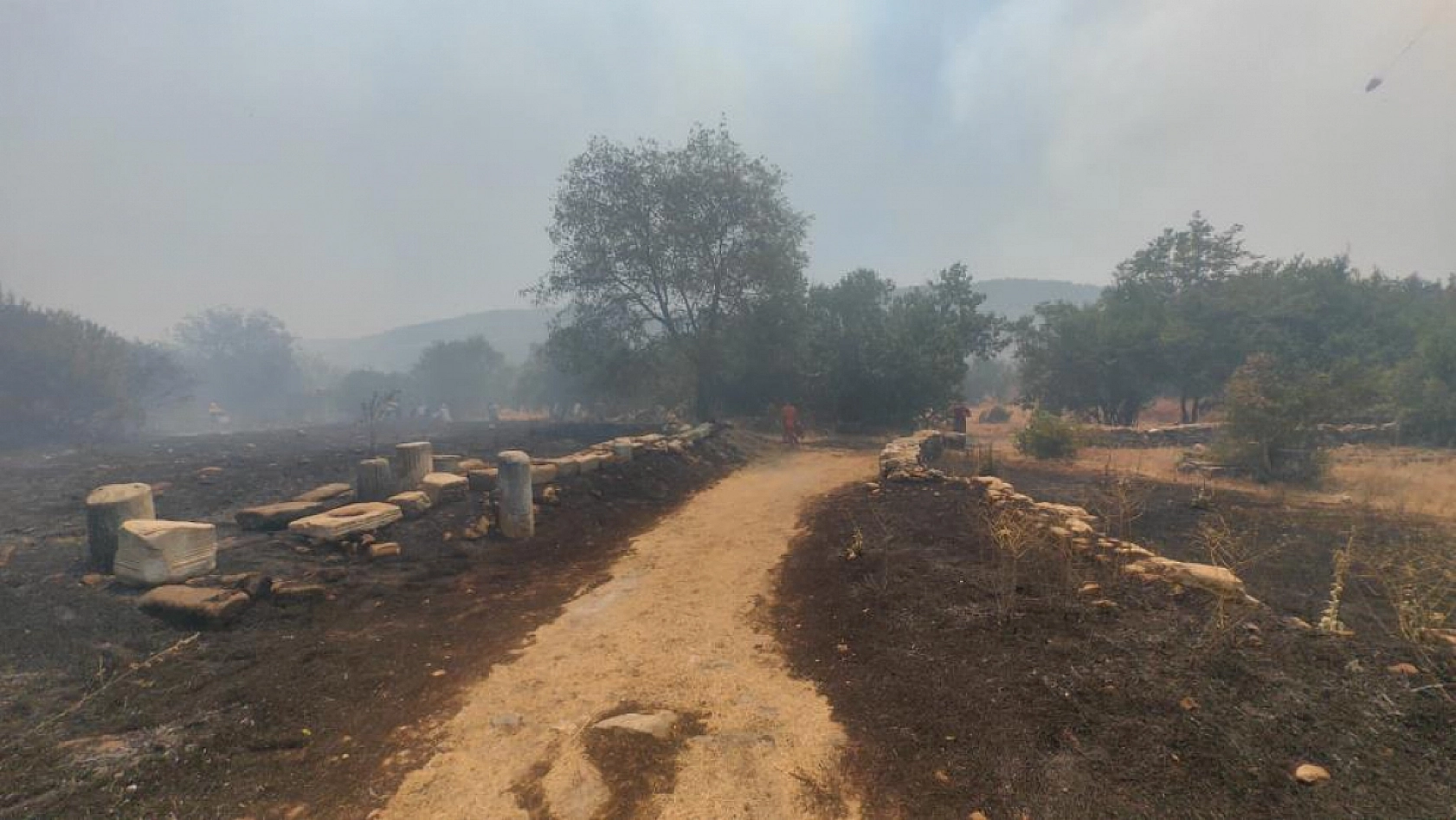 Muğla'daki yangın Stratonikia Antik kentindeki zirai alanda etkili oluyor