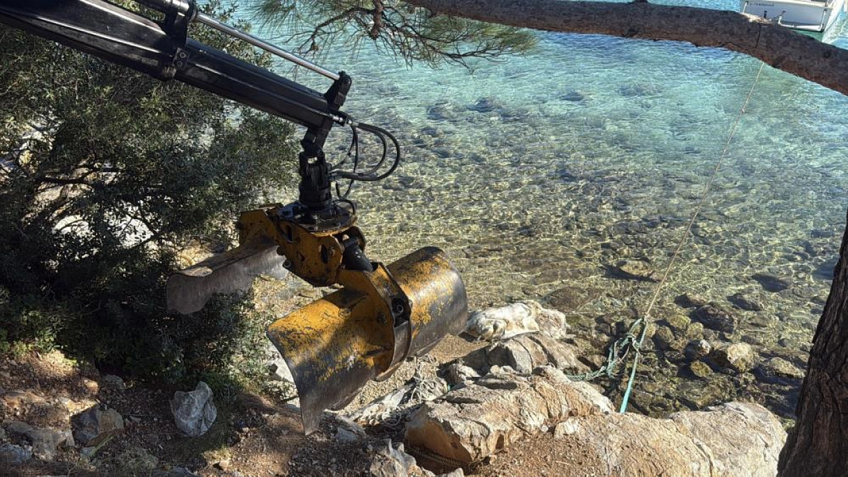 Bodrum sahiline vuran caretta caretta vinçle kaldırıldı