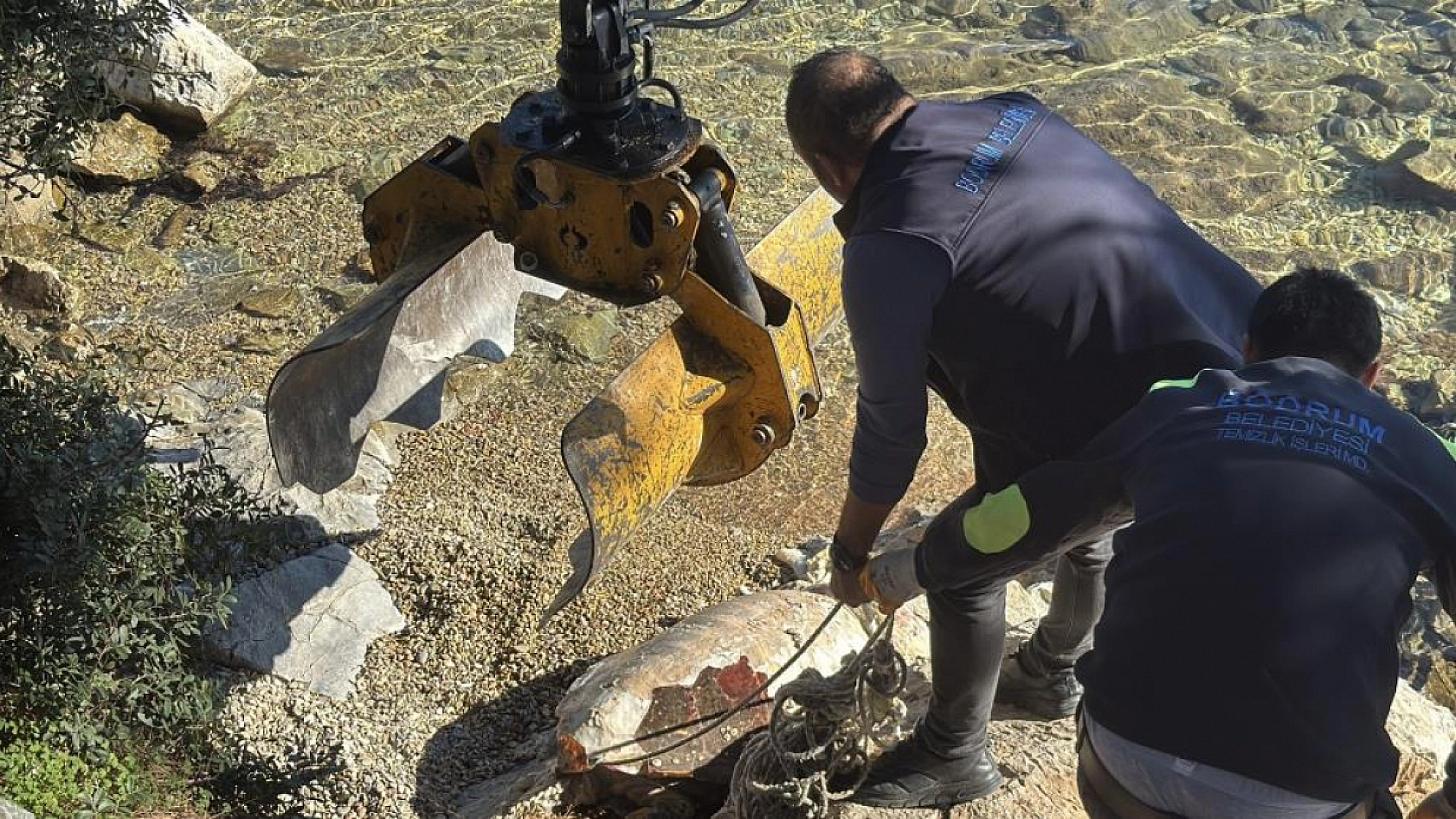 Bodrum sahiline vuran caretta caretta vinçle kaldırıldı
