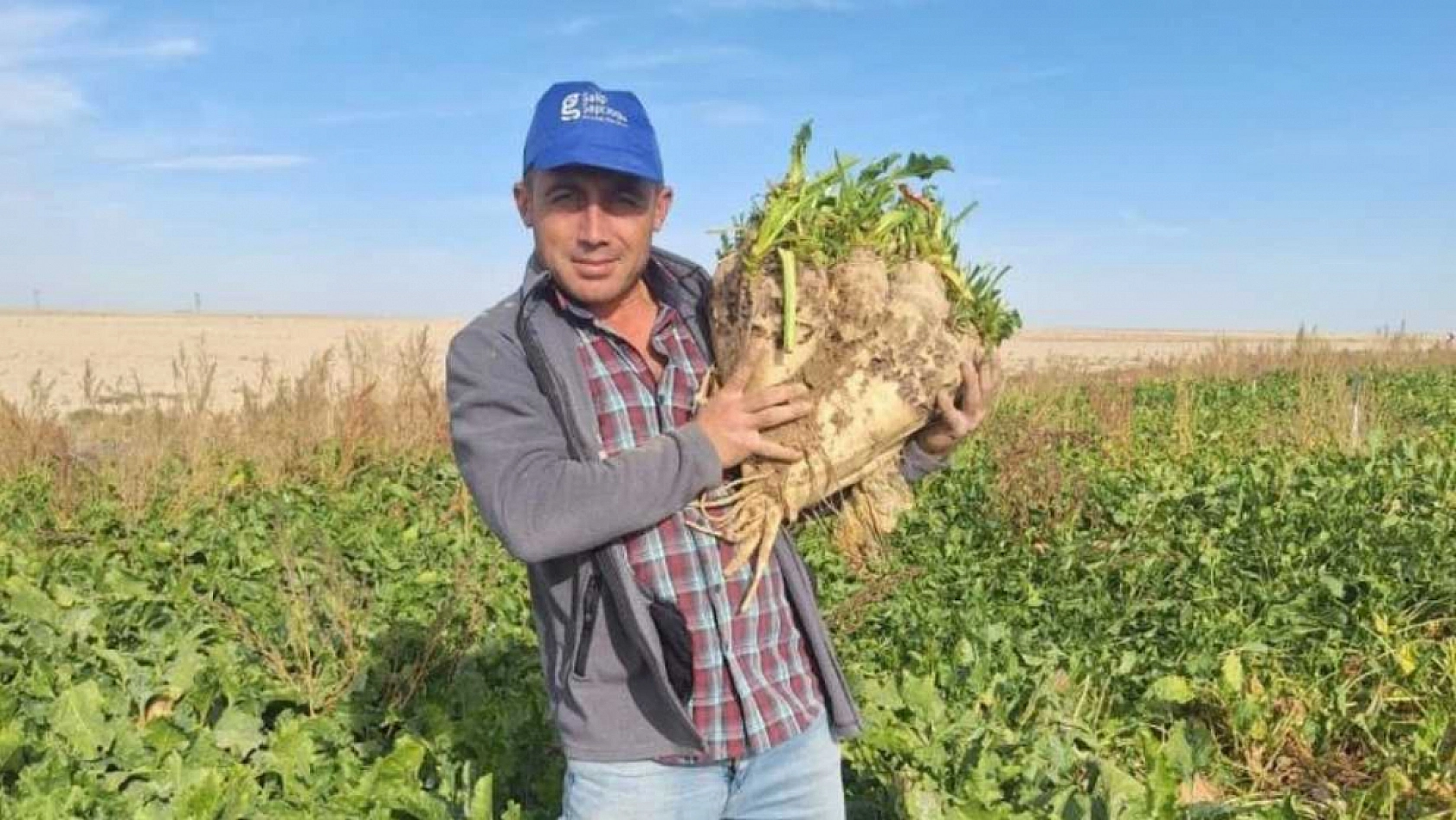 Hasat edilen 24 kiloluk şeker pancarları şaşırttı