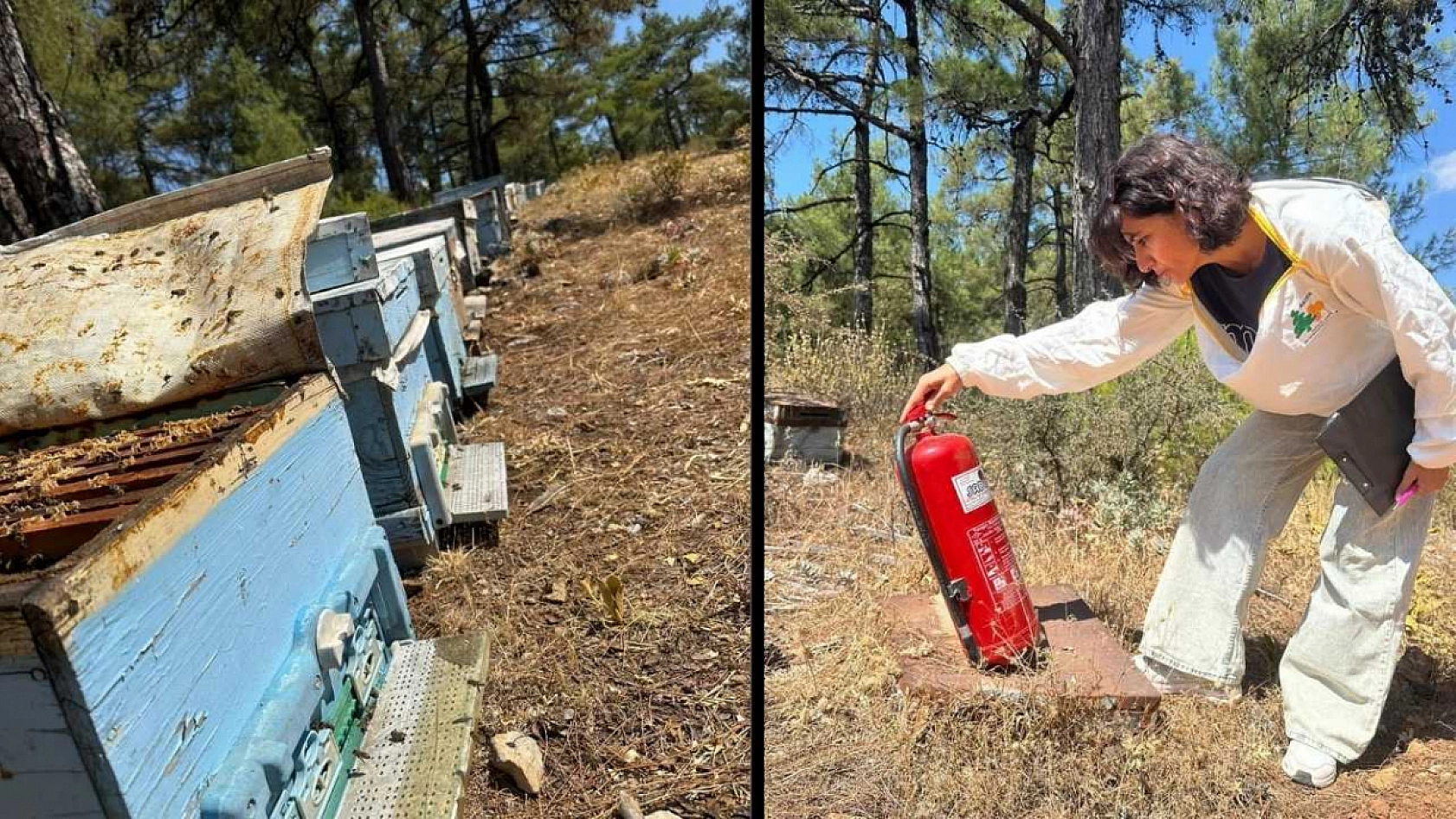 Menteşe'de arı kovan destekleme tespit çalışmaları devam ediyor