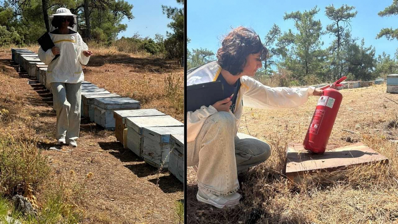 Menteşe'de arı kovan destekleme tespit çalışmaları devam ediyor