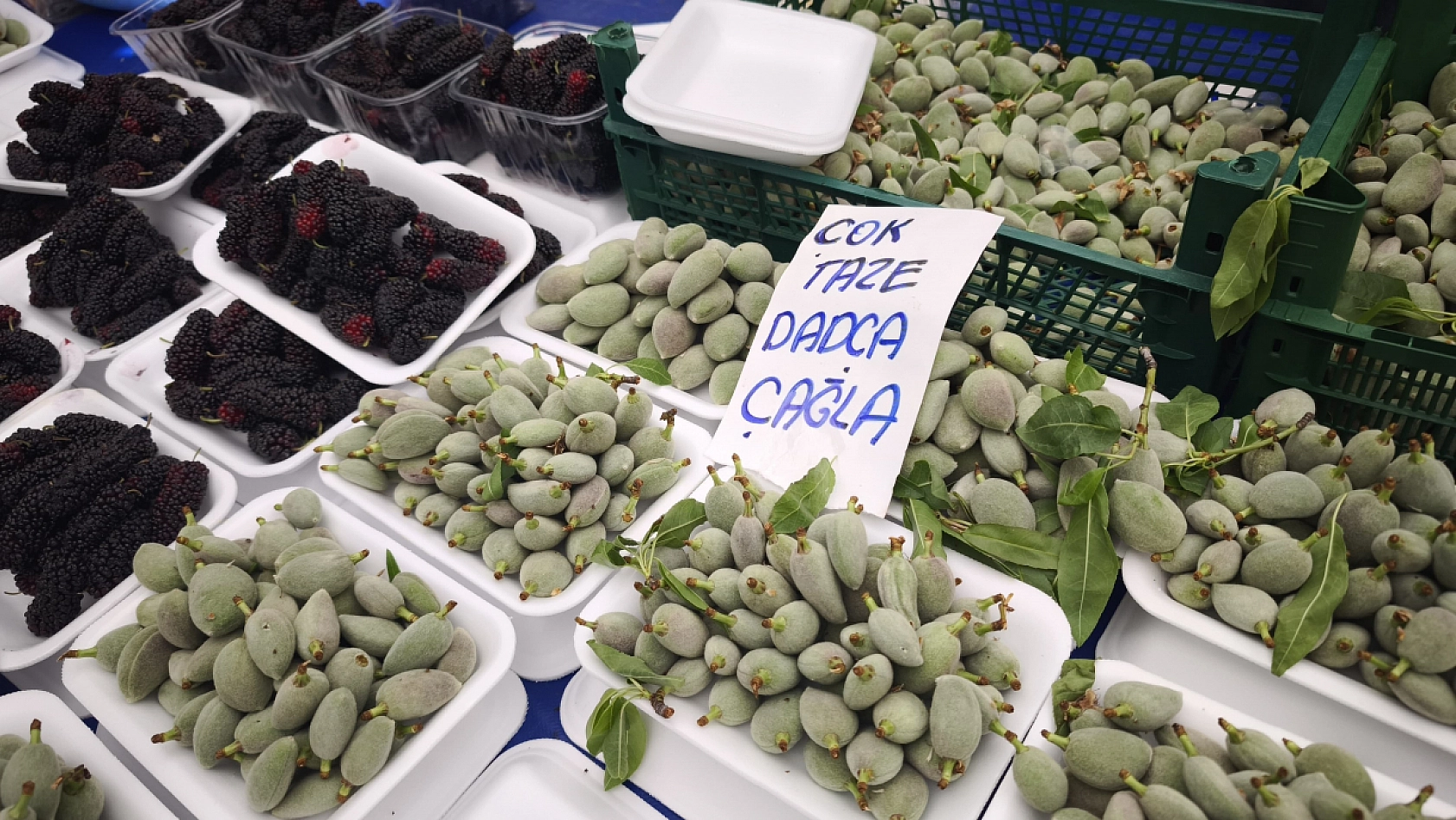 Fethiye Salı Pazarı'nda meyve satışları hareketlendi, işte güncel meyve fiyatları