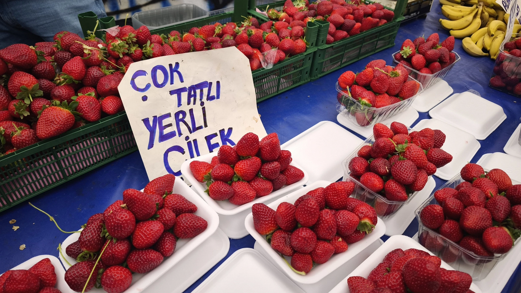 Fethiye Salı Pazarı'nda meyve satışları hareketlendi, işte güncel meyve fiyatları