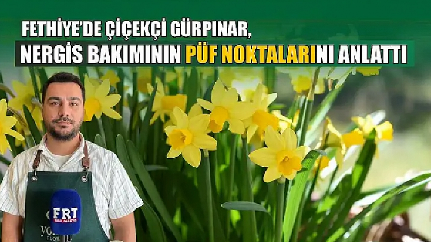 Fethiye'de Çiçekçi Gürpınar, nergis bakımının püf noktalarını anlattı