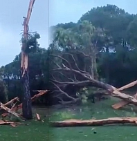 Golf sahasına düşen yıldırım ağacı parçalara ayırdı