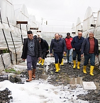 Seydikemer'de fırtınadan zarar gören üreticileri ziyaret ettiler