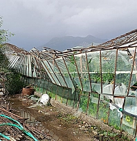 Seydikemer'de hortumun vurduğu seralarda hasar tespit çalışmaları başladı