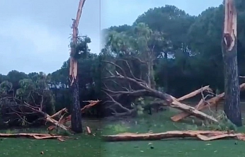 Golf sahasına düşen yıldırım ağacı parçalara ayırdı