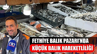 Fethiye Balık Pazarı'nda Küçük Balık Hareketliliği