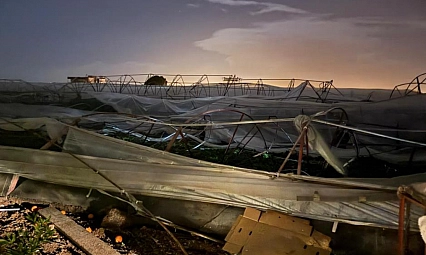 Antalya'da hortum seralara zarar verdi