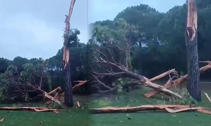 Golf sahasına düşen yıldırım ağacı parçalara ayırdı