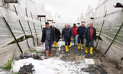 Seydikemer'de fırtınadan zarar gören üreticileri ziyaret ettiler