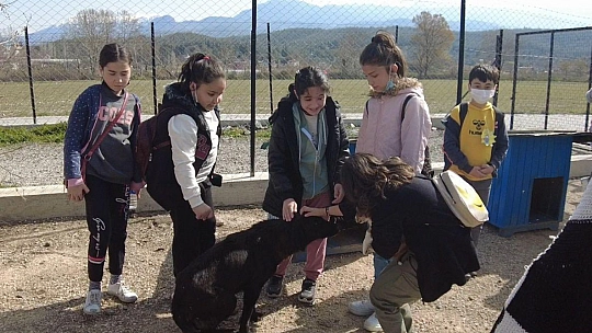 'El Ele Projesi' patili dostları sevindirdi