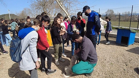 'El Ele Projesi' patili dostları sevindirdi