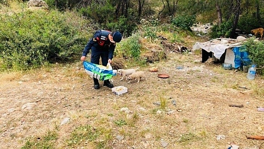 Muğla'da 17 günlük kısıtlamada ceza yağdı 