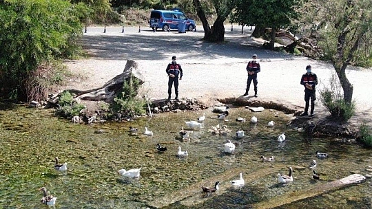 Muğla'da 17 günlük kısıtlamada ceza yağdı 