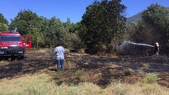 2 hektar otluk alan yandı