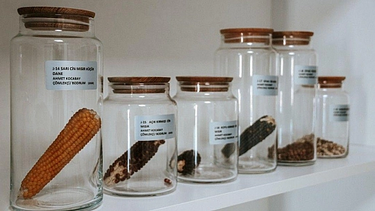 200 dönüm arazi tarıma kazandırıldı