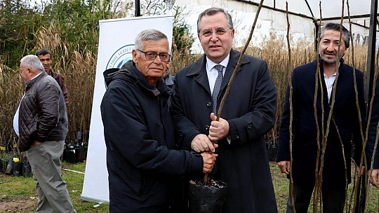 2500 FETHİYE KAYA İNCİRİ FİDANI ÜRETİCİLERE DAĞITILDI